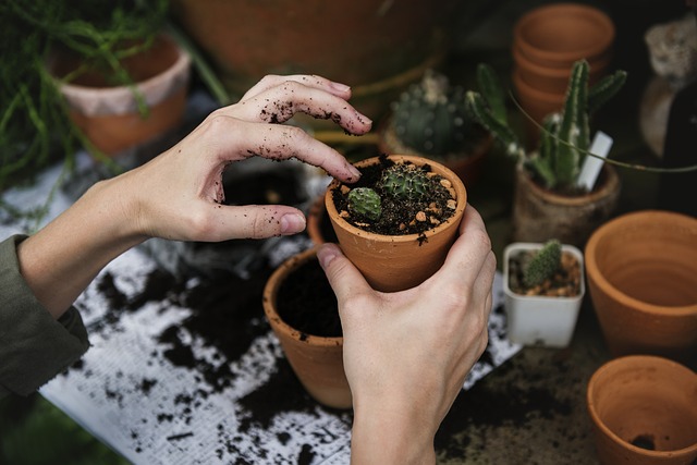 Een rustige werkomgeving met planten.